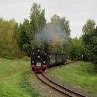 Herbstausflug zum Eisenbahnwochenende im Mansfelder Land 8.