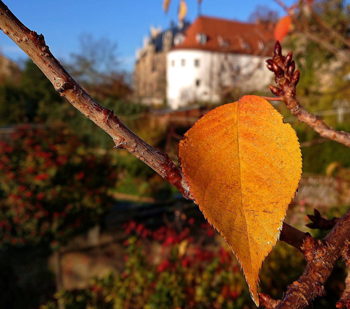 Herbstausklang