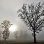 Herbstausklang am Rodder Maar in der Eifel