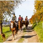 Herbstausritt bei herrlichem Wetter