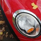 Herbstauto