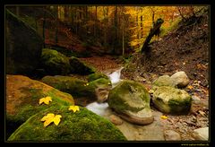 - - - Herbstbach - - -