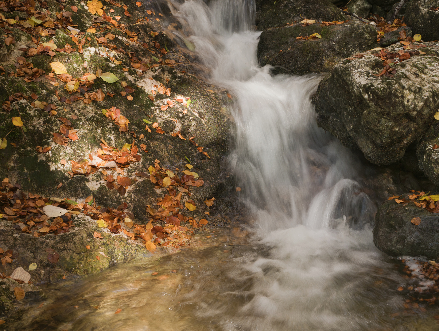 Herbstbach