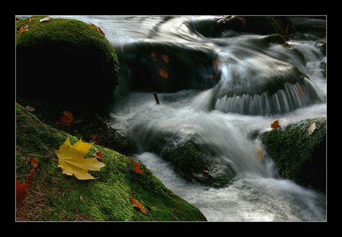 Herbstbach