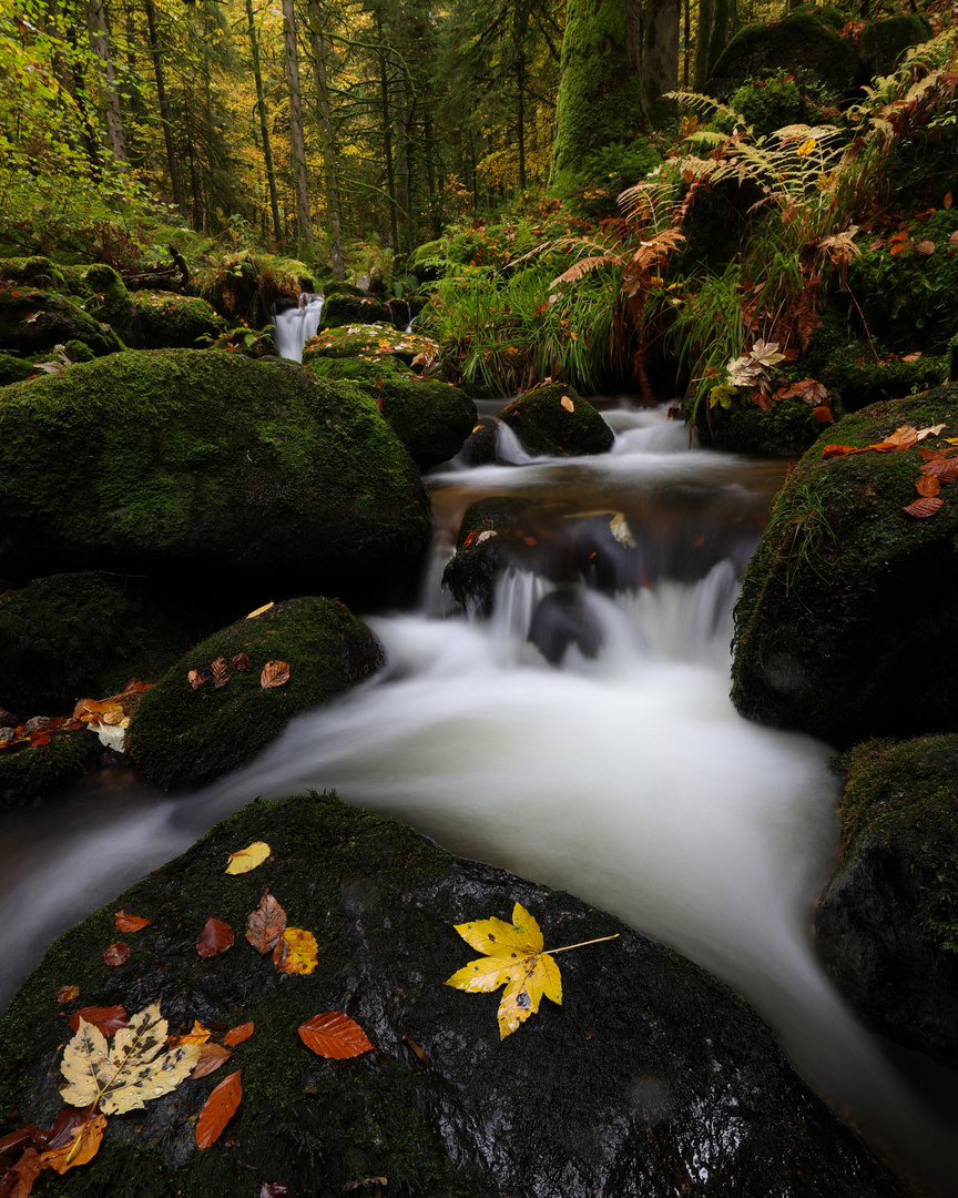 Herbstbach