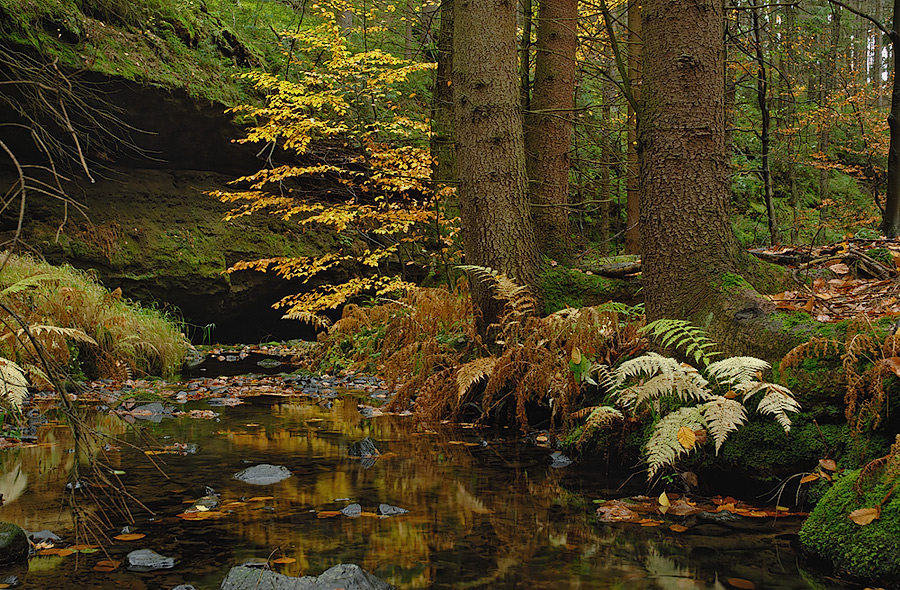 Herbstbach