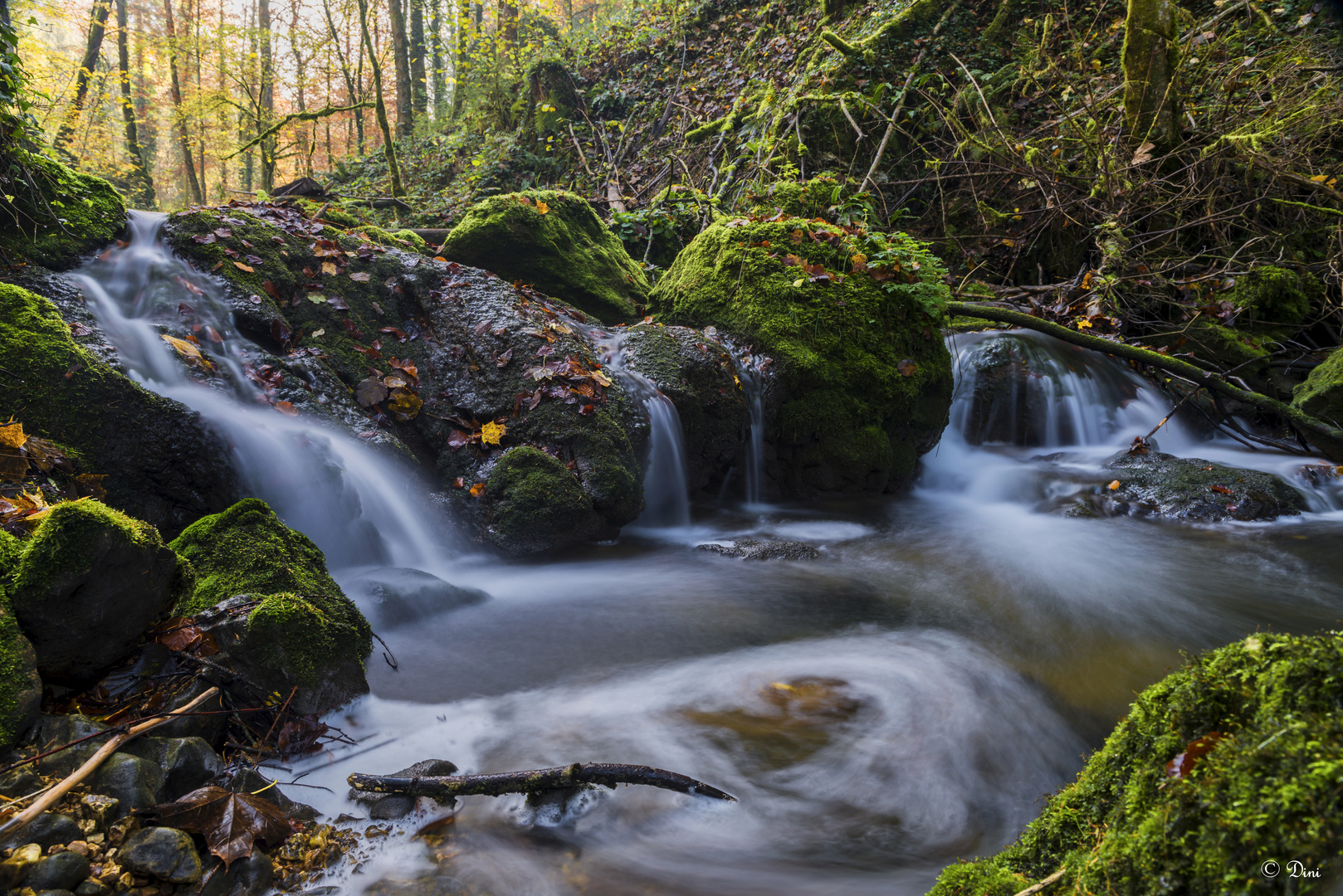 Herbstbach