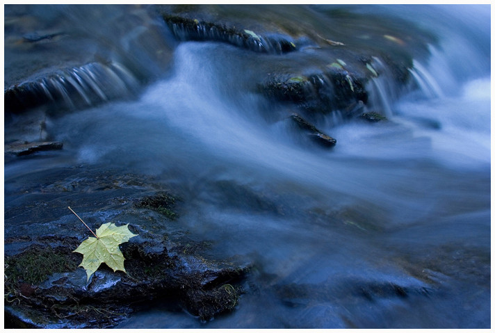 Herbstbach