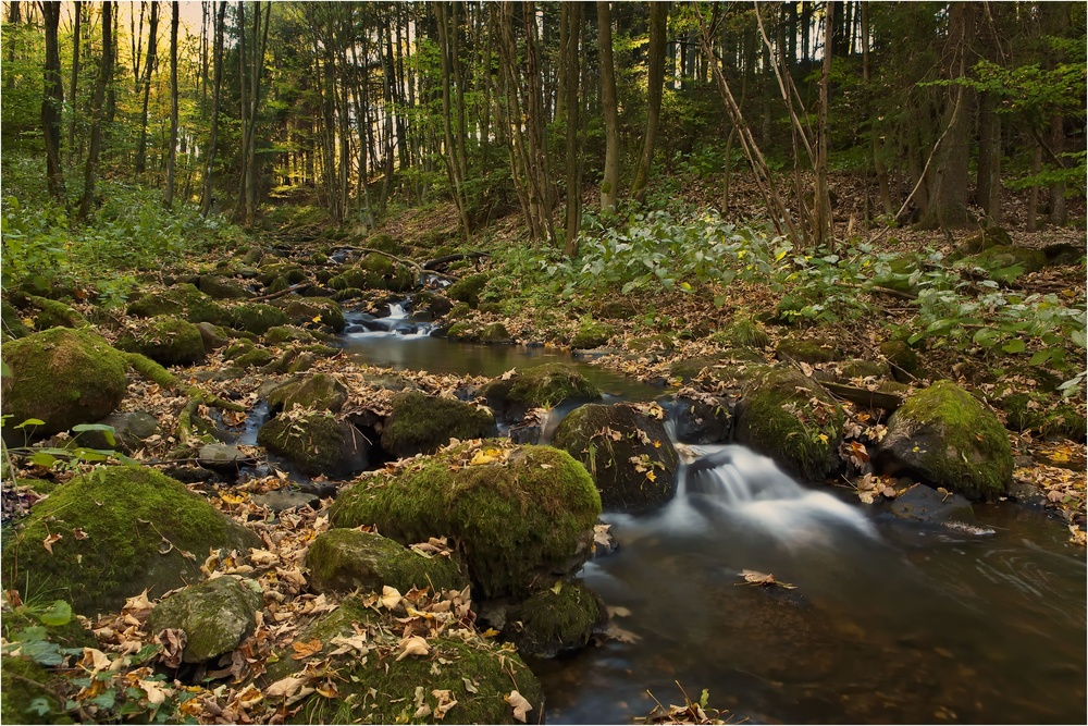 Herbstbach