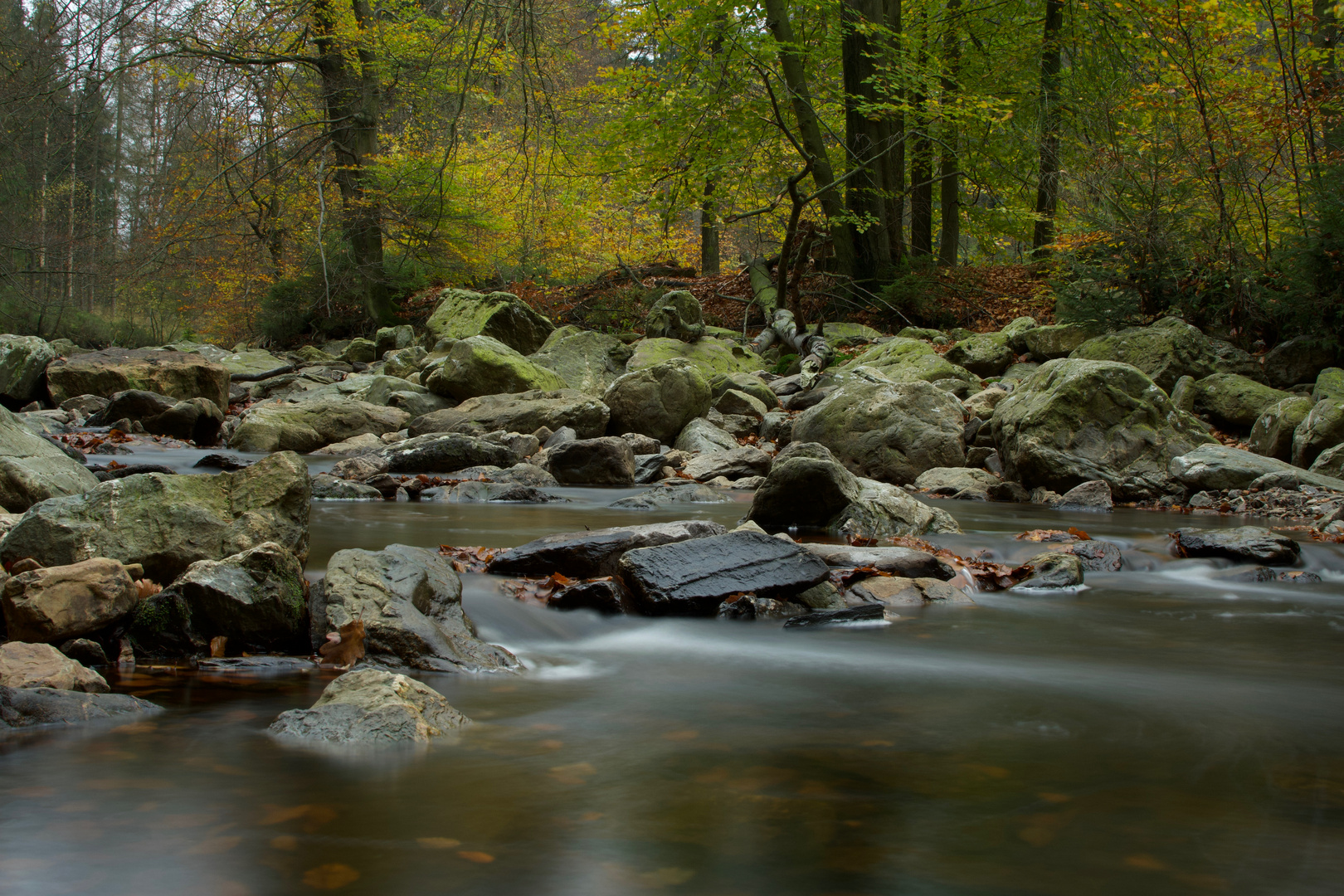 Herbstbach