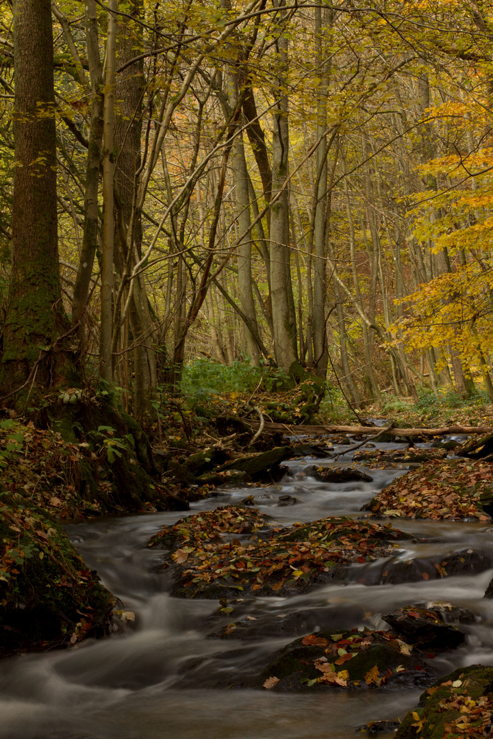 Herbstbach