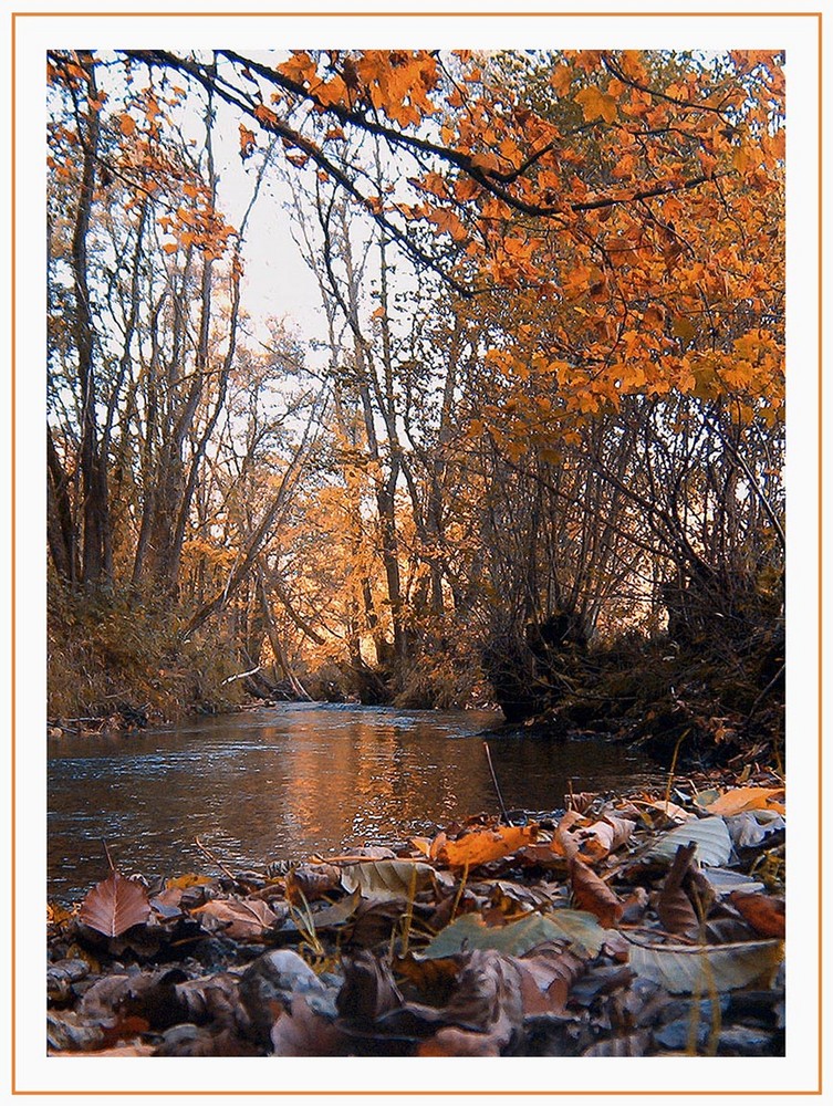 Herbstbach