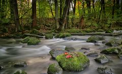 Herbstbach