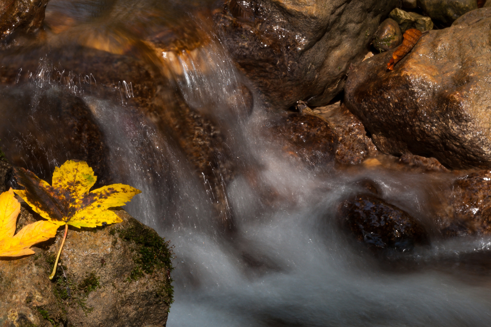 Herbstbach