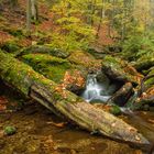 Herbstbach unterm Falkenstein