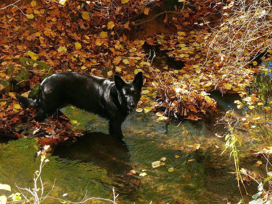 Herbstbachbad