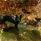 Herbstbachbad