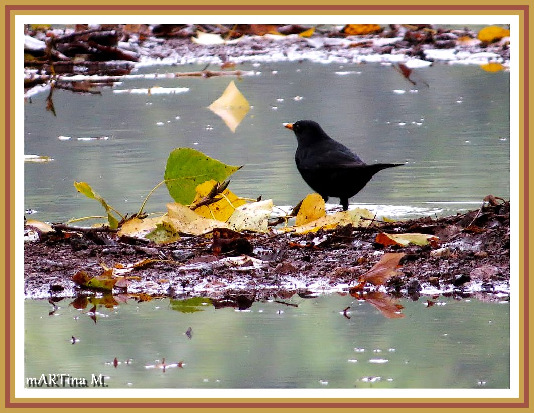 Herbstbadewanne (mit Gedicht)