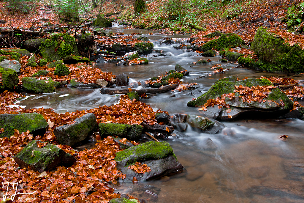 Herbstbächle