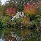 Herbstbäume