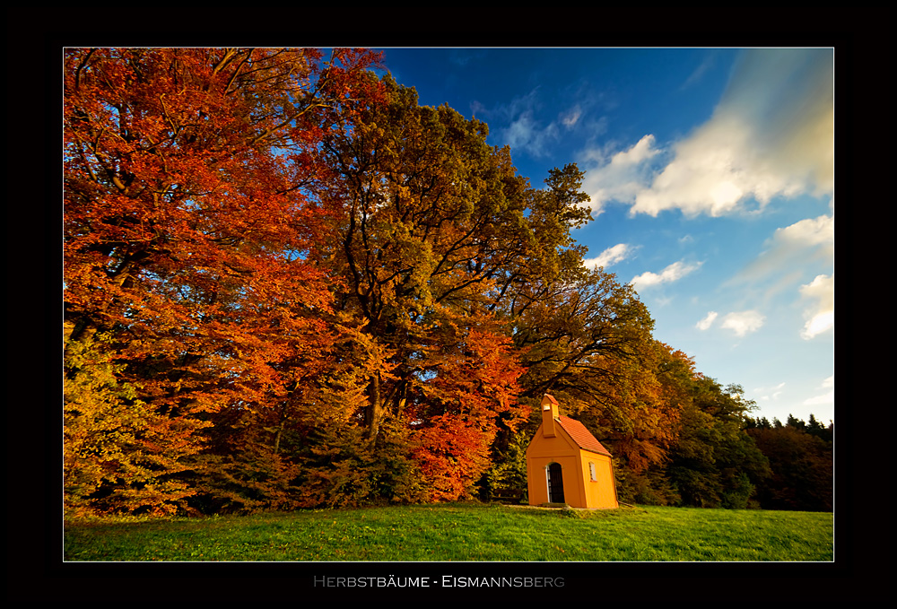 Herbstbäume