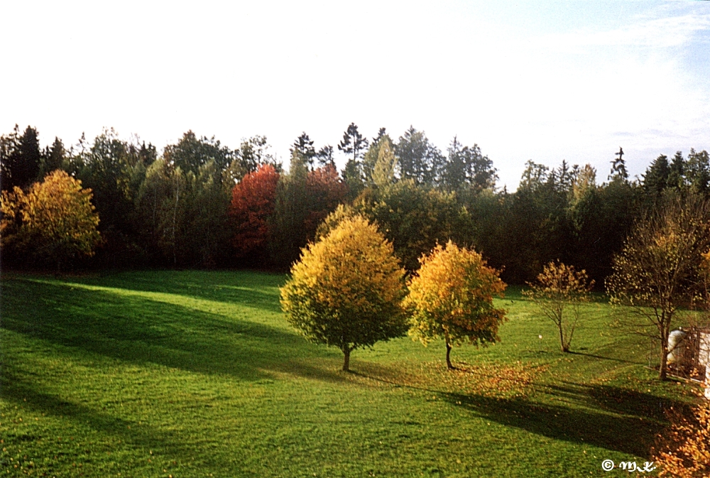 Herbstbäume