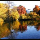 Herbstbäume am großen See