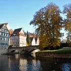 Herbstbäume am Kocher in Schwäb. Hall.