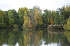 Herbstbäume am See