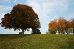 Herbstbäume