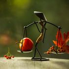 Herbstbalance