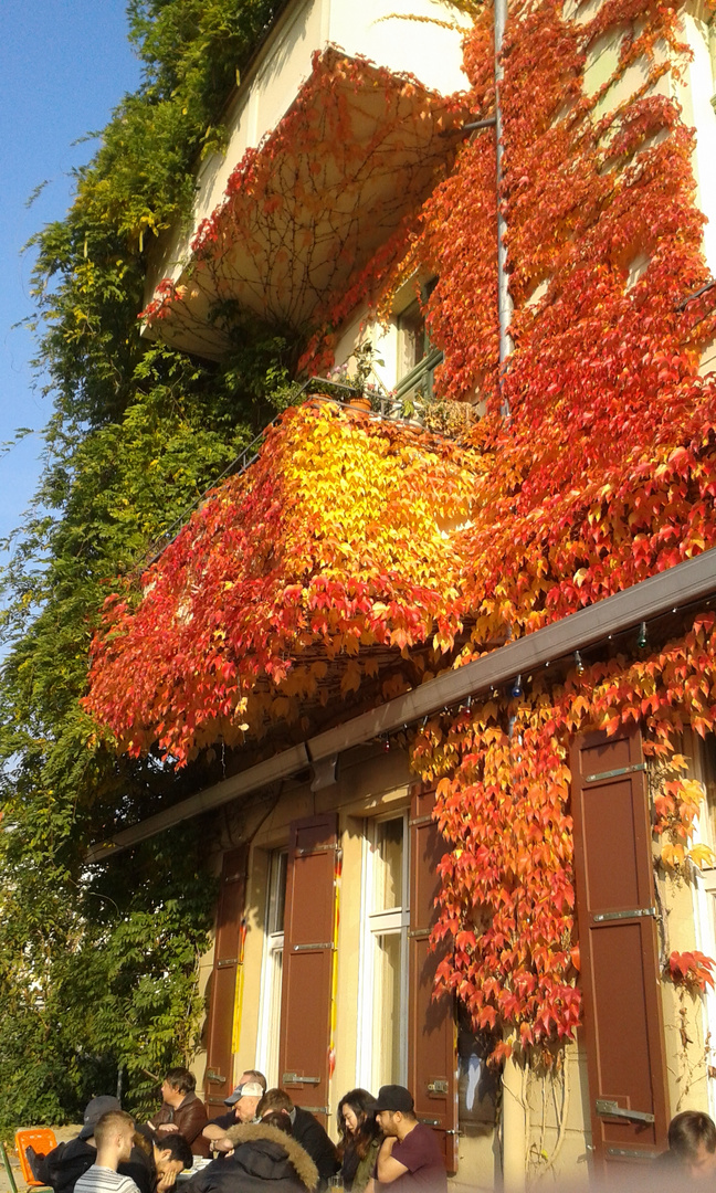 Herbstbalkon