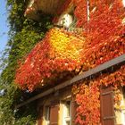 Herbstbalkon