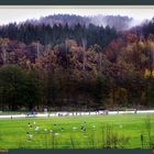 Herbstball ("harvest-ball")