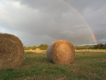 Herbstballen