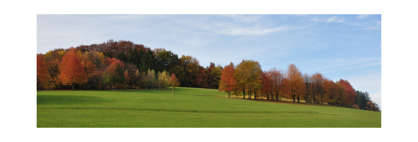 Herbstband