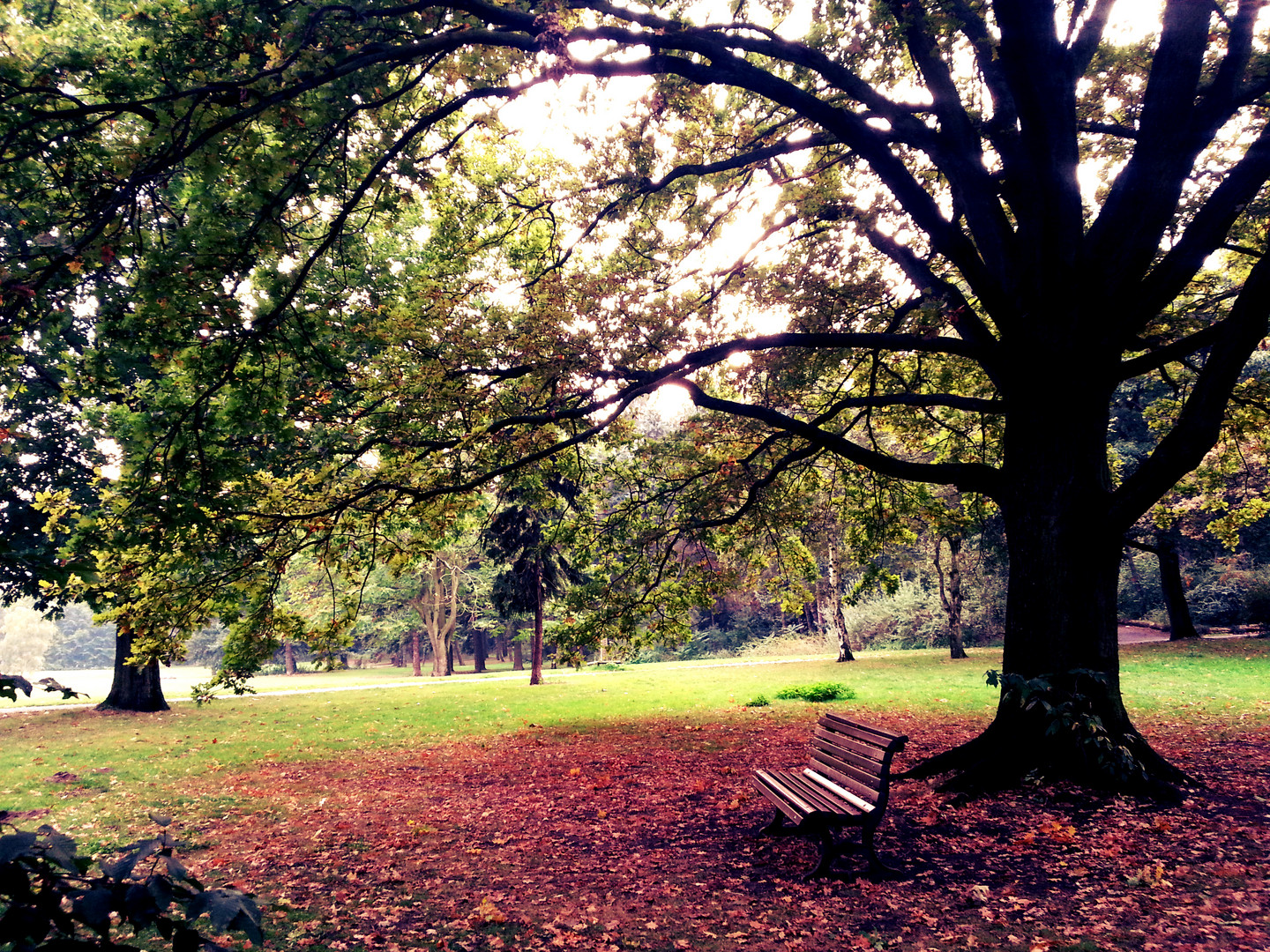 Herbstbank.