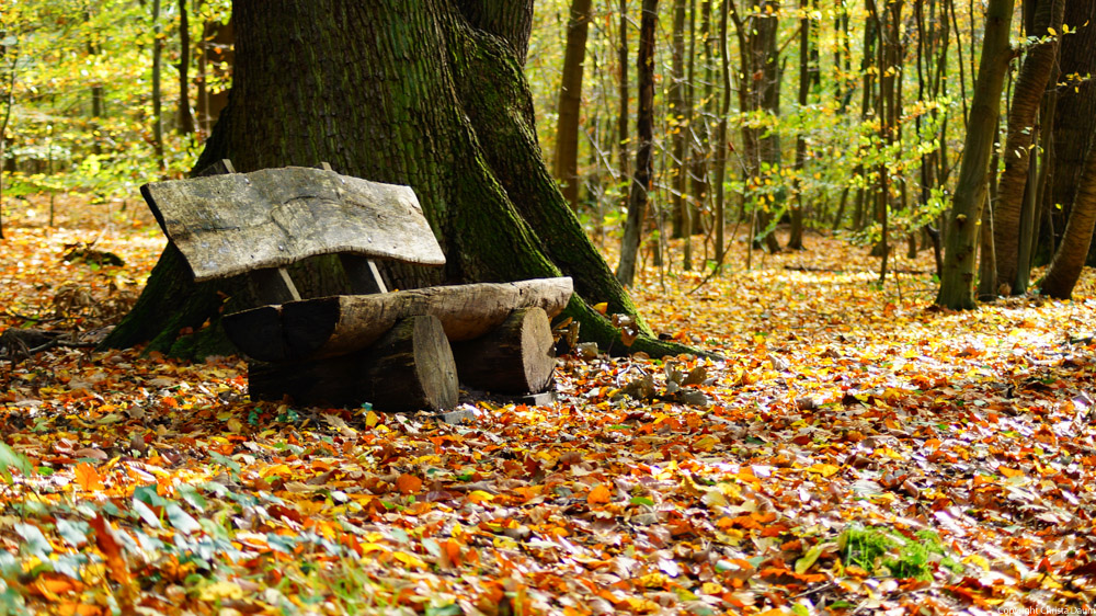 HerbstBank