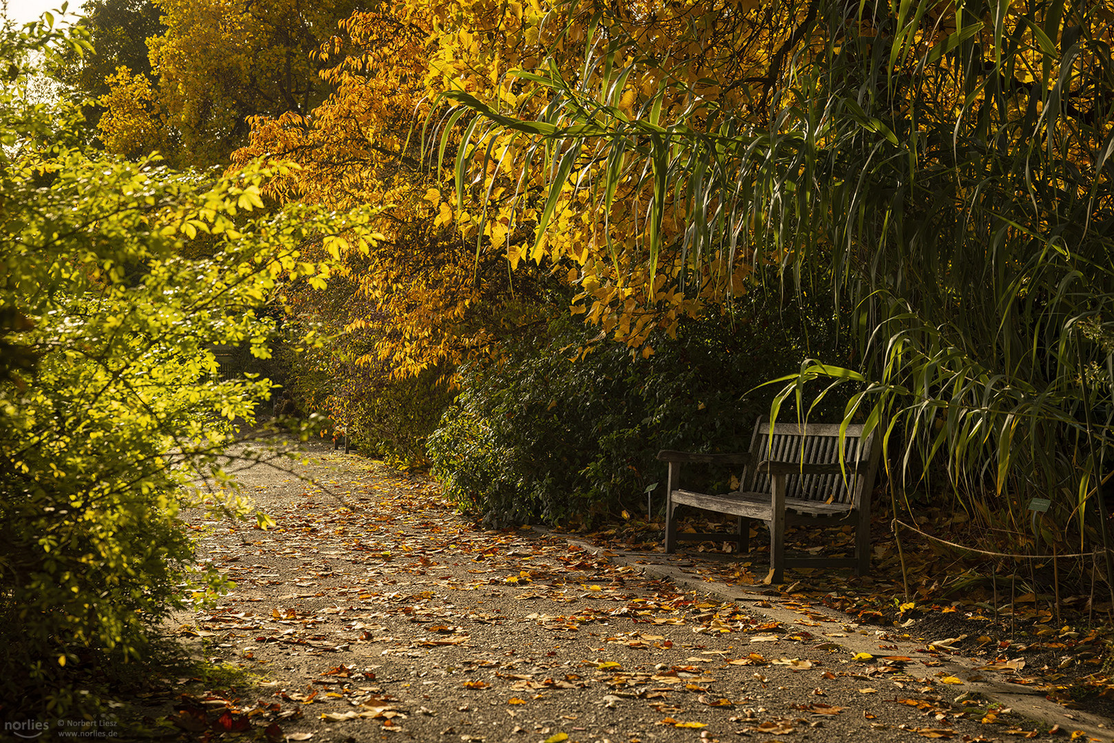 Herbstbank