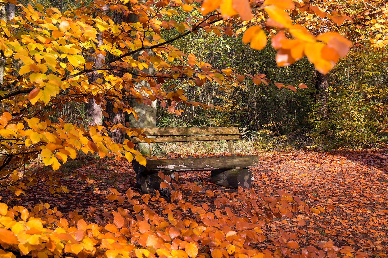 Herbstbank