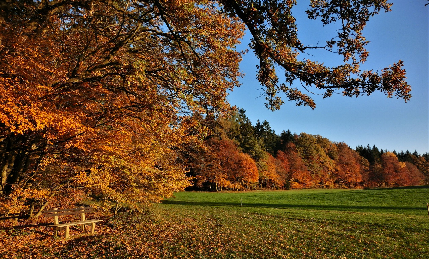 Herbstbankerl