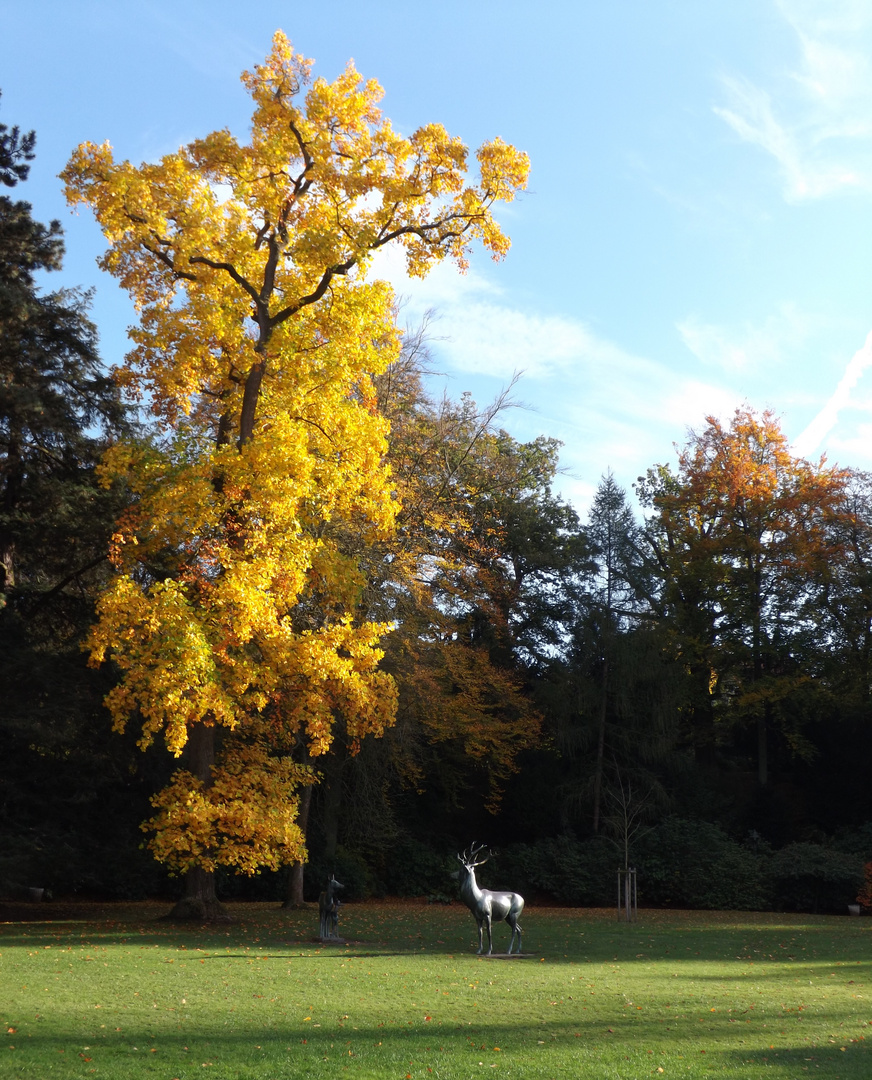 Herbstbaum