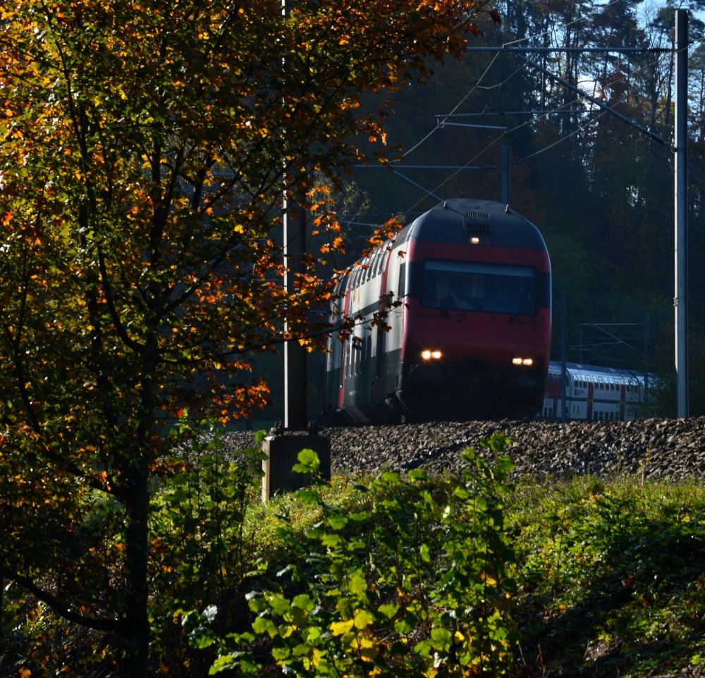 Herbstbaum