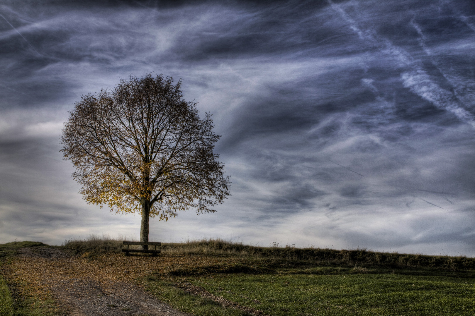 Herbstbaum