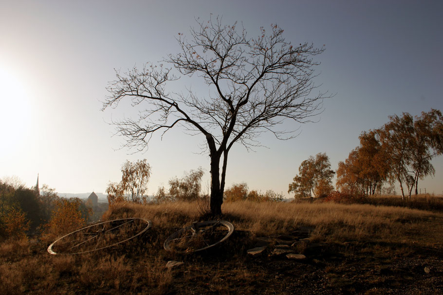 Herbstbaum