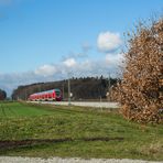 Herbstbaum