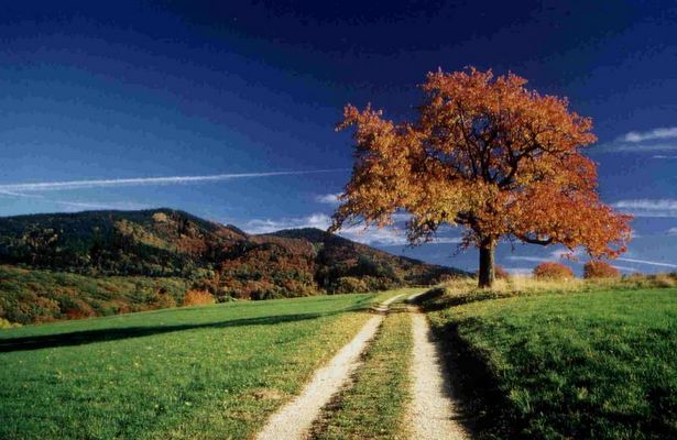 Landschaft, Landschaftsbilder, Landschaftsfotografie