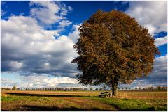 Herbstbaum