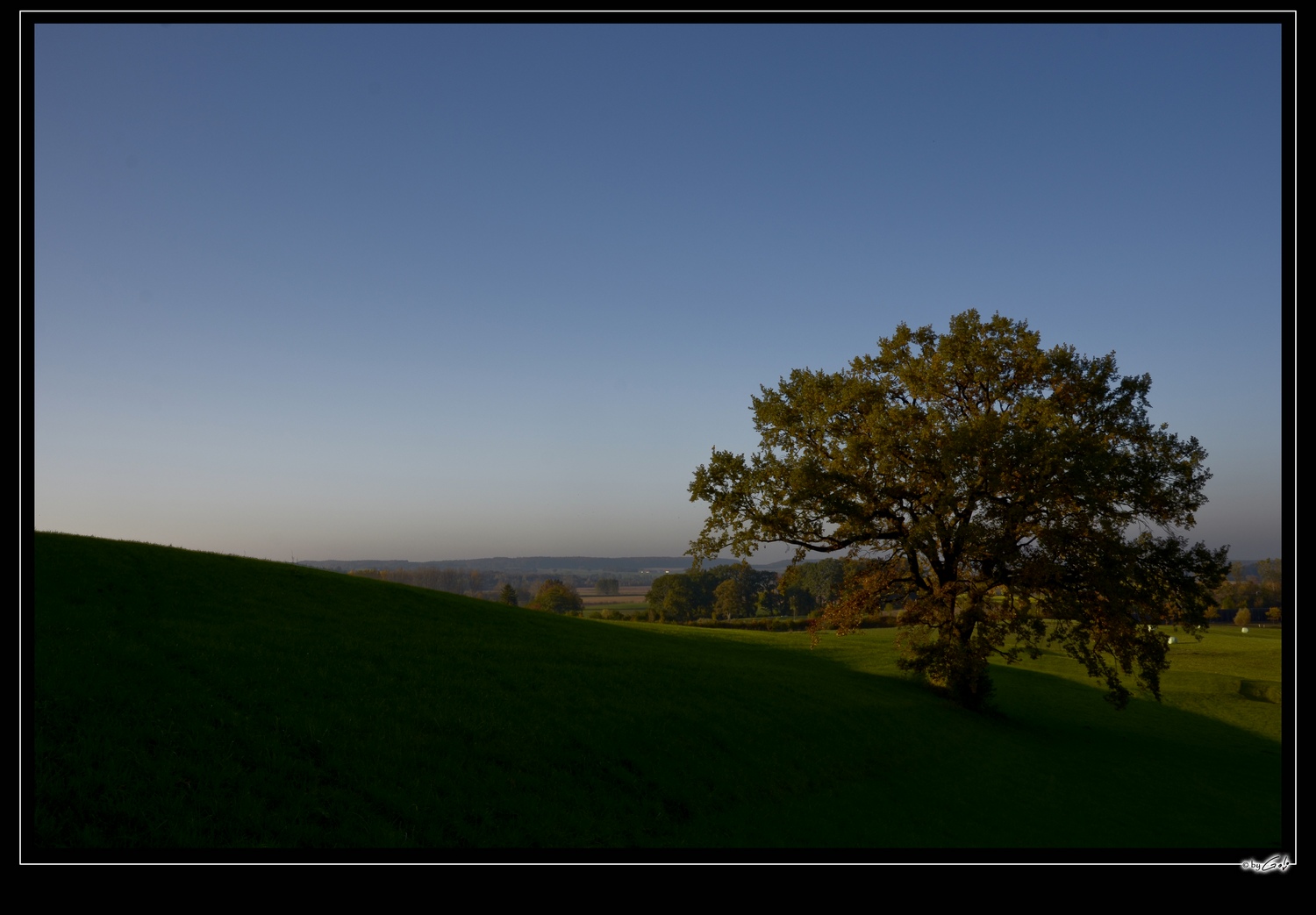 [ Herbstbaum ]