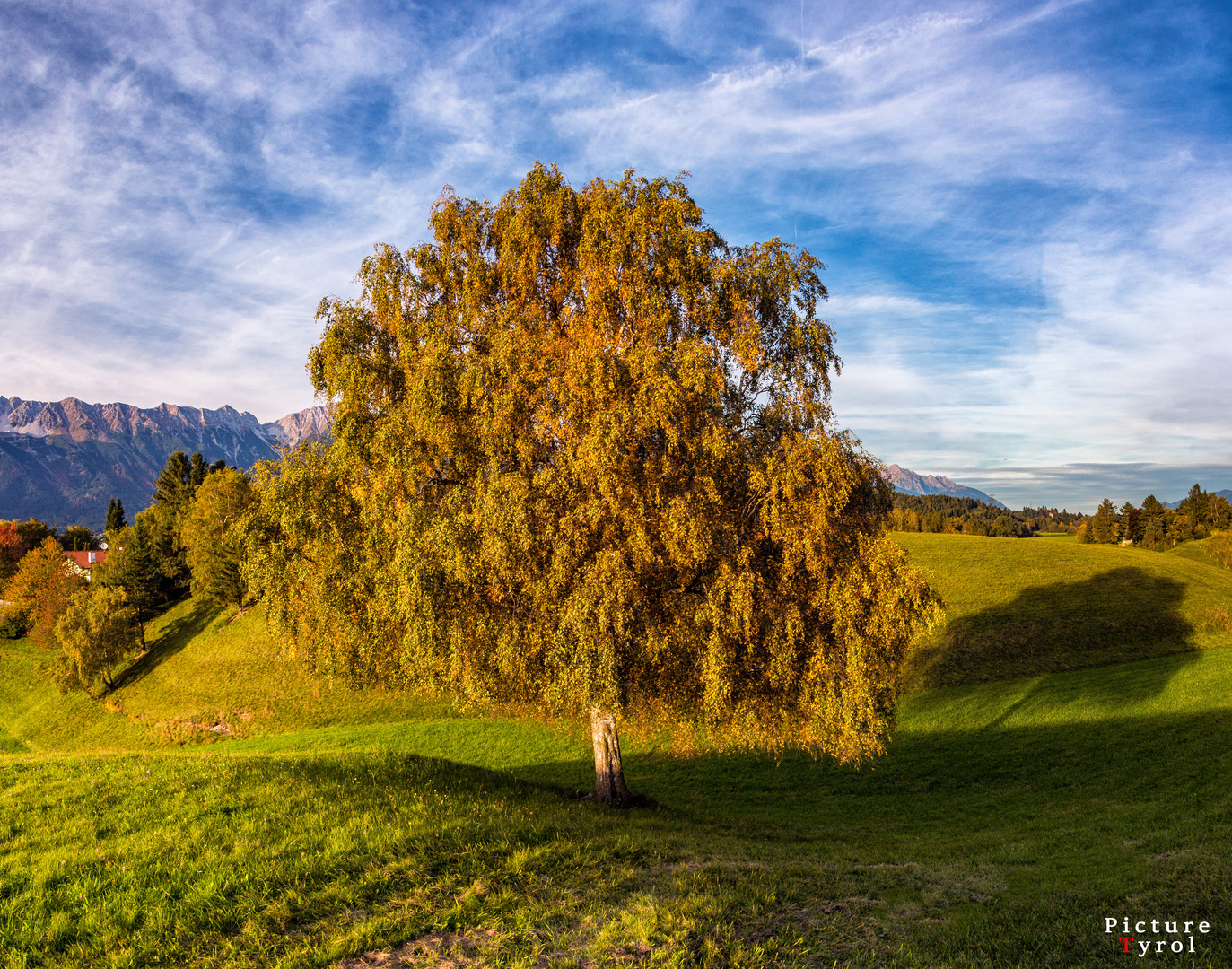 Herbstbaum